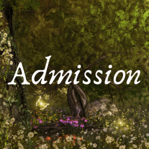 2025 Gala: Admission for 1